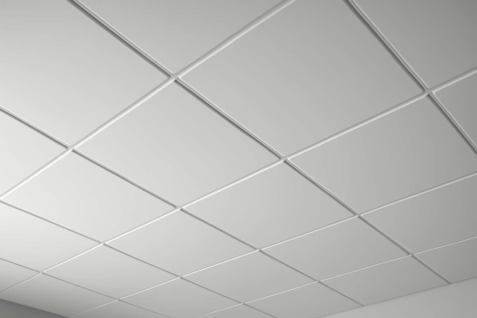 ceiling tiles plastic