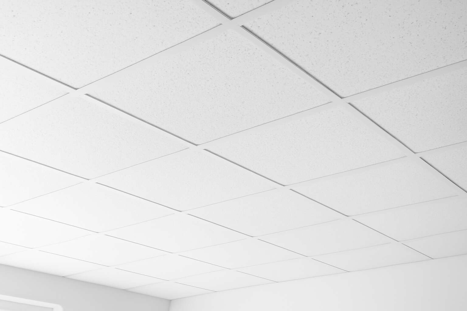 generated_image_6a45d20e2eac0.jpg ceiling tiles foam